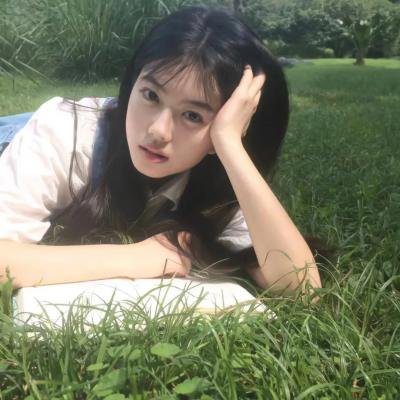 朝鲜律师 在线观看